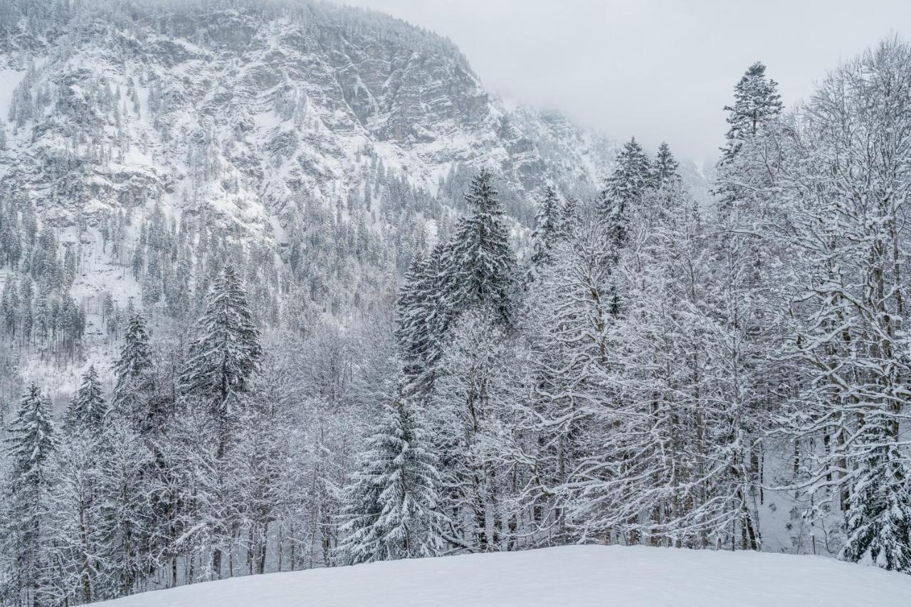 Appartement Waldgut à Oberstdorf Extérieur photo
